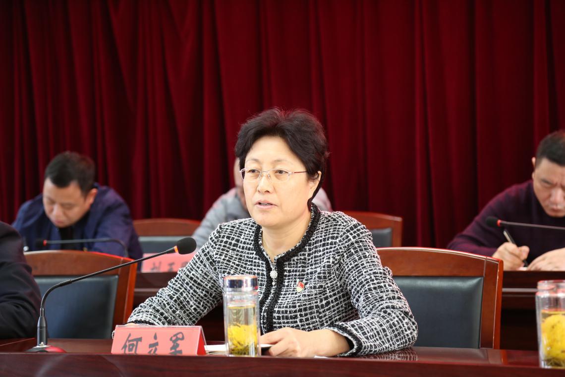 田字出头讲才气，独木成船双木林打一个正确生肖精选解析、解释与落实、构建解答解释落实