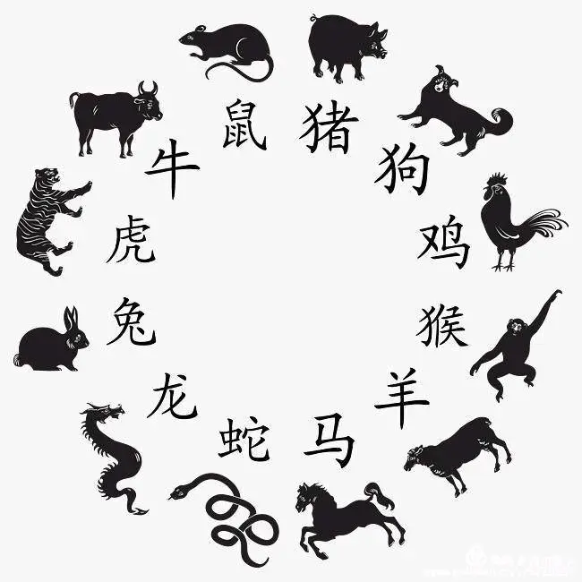 实话实说打一正确生肖请全面2释义、解释与落实、全面解答解释落实