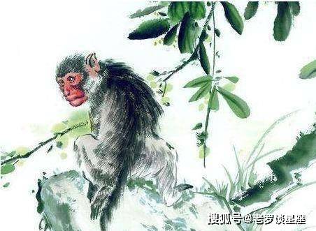 啼莺婉转留四野人性天生存弱项是指什么生肖动物全面释义、科学解答解释落实